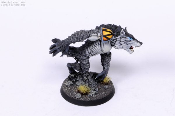 Space Wolves Wolfen